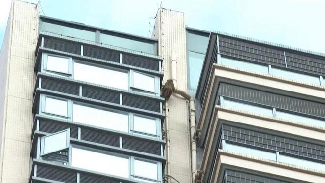 爬下物业:不知道哪来的还没抓着南宁一小区有猴子在高楼外爬上(图8) 爬下物业:不知道哪来的还没抓着南宁一小区有猴子在高楼外爬上(图8)